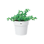 b.for original rond mini 9cm blanc